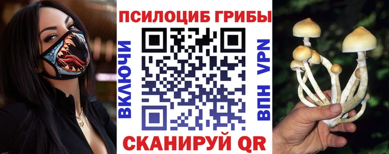 Галлюциногенные грибы Psilocybe  Кириши 